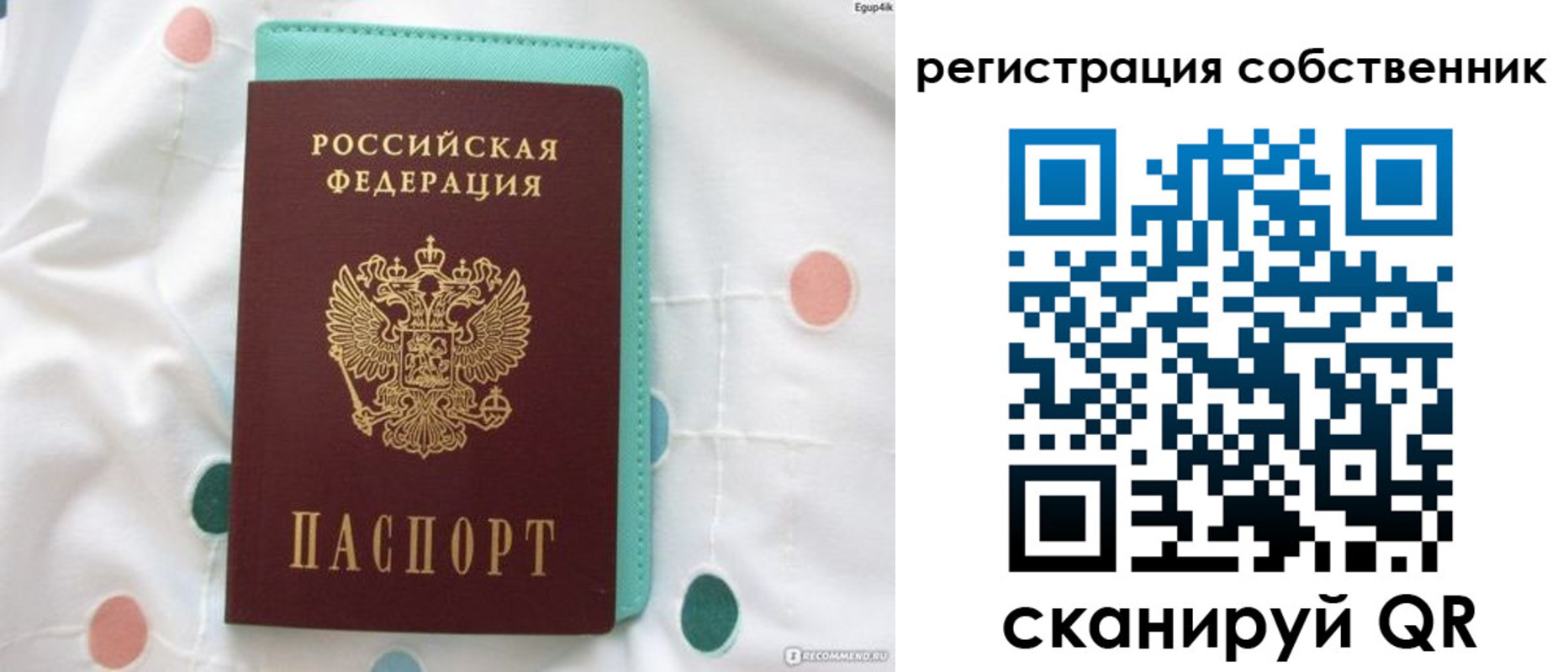 прописка для школы в Торопеце